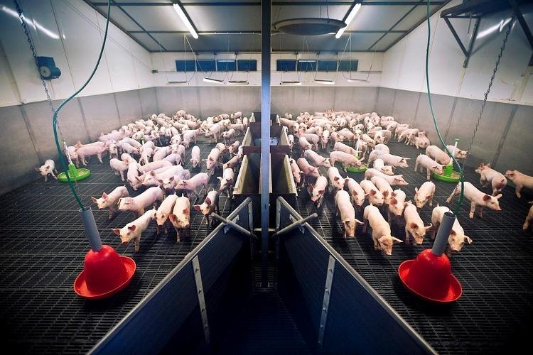 小米要与苹果正面PK了：雷军9月预告阔折叠等多款新品 三款玄戒芯是底气